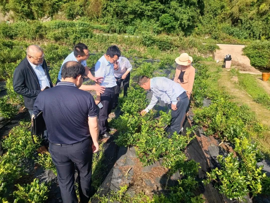 湖南商务职业技术学院：湘西特聘专家服务团启动帮扶活动